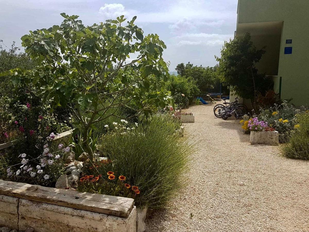 Villa Meri Makarska